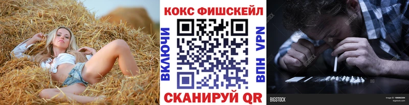 как найти   Дятьково  COCAIN Эквадор 
