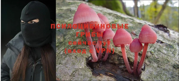 кристаллы Абаза