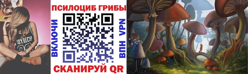 где продают наркотики  Дятьково  Псилоцибиновые грибы мицелий 